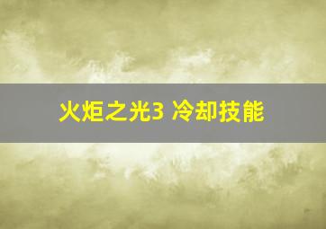 火炬之光3 冷却技能